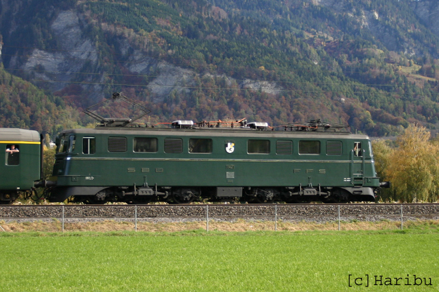 Ae 6/6 11421
26.10.2013 Ae 6/6 11421 unterwegs nach Chur
