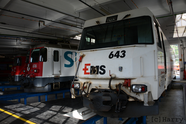 DUE_8173.jpg