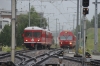 Dateiname=DUF_1471.jpg
Dateigröße=259KB
Abmessungen: 640x427
hinzugefügt am: 16. August 2014 DUF_1471.jpg