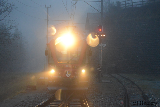 DUK_0597.jpg