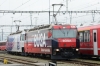 Dateiname=DUJ_5402.jpg
Dateigröße=241KB
Abmessungen: 640x427
hinzugefügt am: 26. Dezember 2014 DUJ_5402.jpg