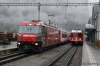 Dateiname=DUK_0420.jpg
Dateigröße=243KB
Abmessungen: 640x427
hinzugefügt am: 26. Dezember 2014 DUK_0420.jpg