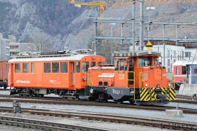 Xe 4/4 9923
15.01.2015 Abbruch
