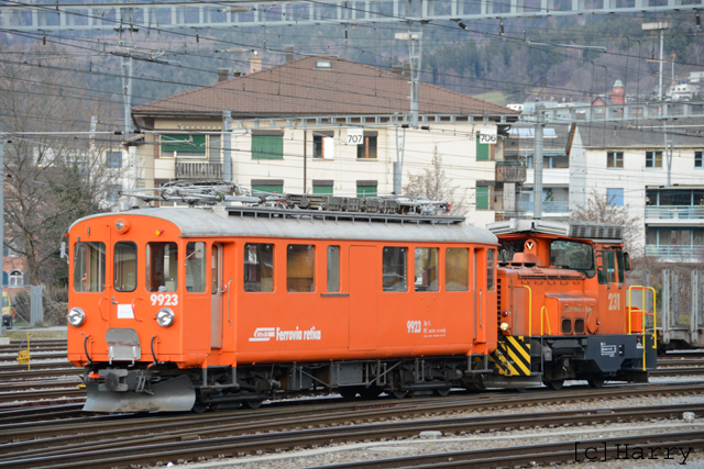 Xe 4/4 9923
15.01.2015 Abbruch
