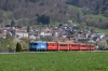 Dateiname=DUM_9025.jpg
Dateigröße=337KB
Abmessungen: 640x427
hinzugefügt am: 04. Mai 2015 DUM_9025.jpg