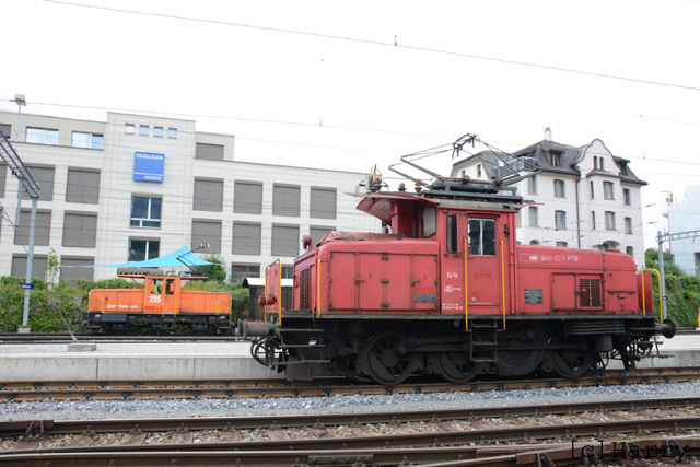 DUO_8578.jpg