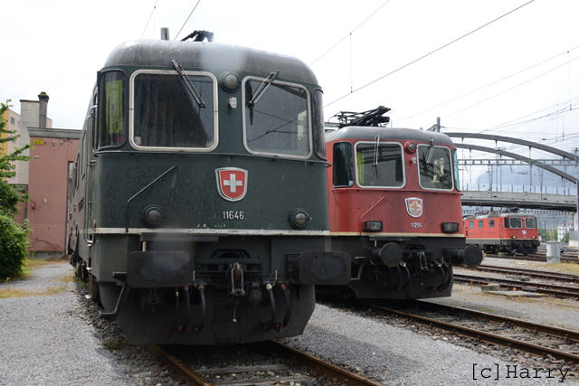 DUO_8605.jpg