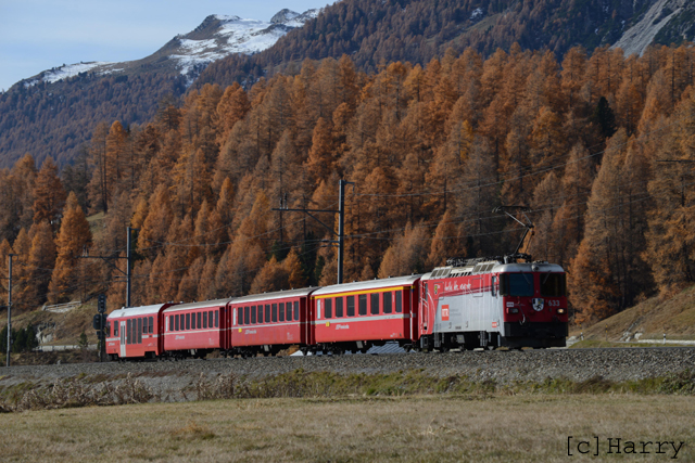 DUT_4633.jpg