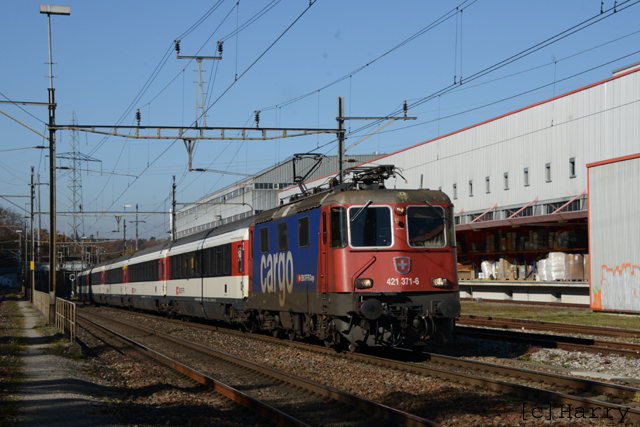 DUT_6433.jpg