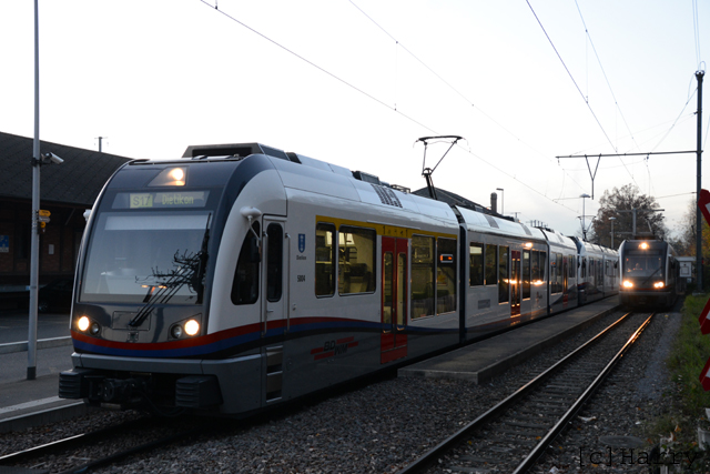 DUT_6906.jpg