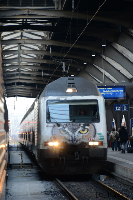 DUT_7078.jpg
