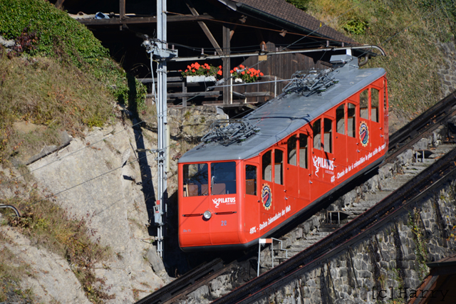 DUT_7122.jpg