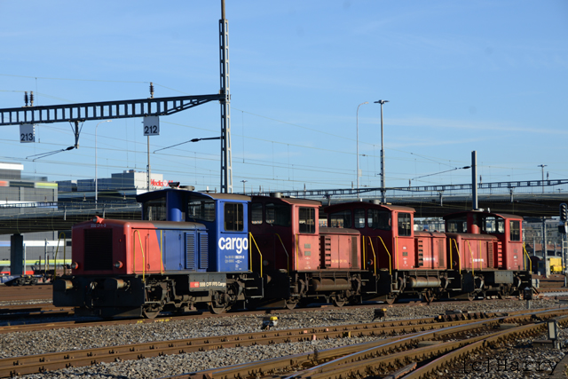 DUT_7912.jpg