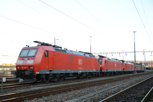 DUT_8113.jpg