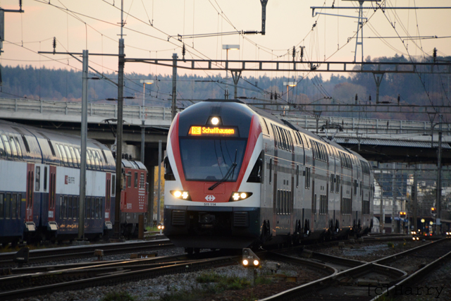 DUT_8225.jpg