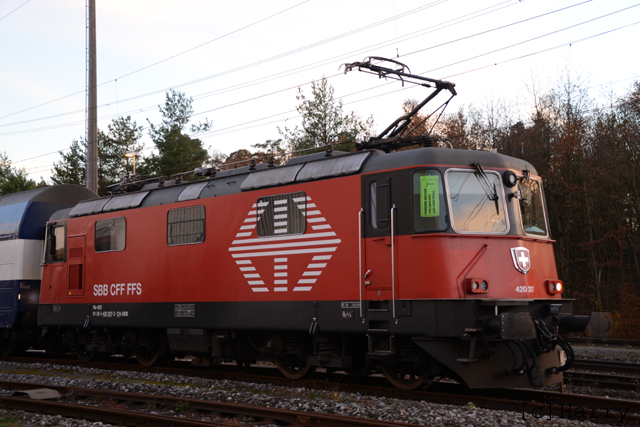 DUT_8264.jpg