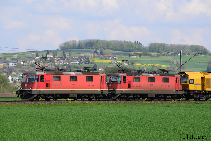 DUX_7853.jpg