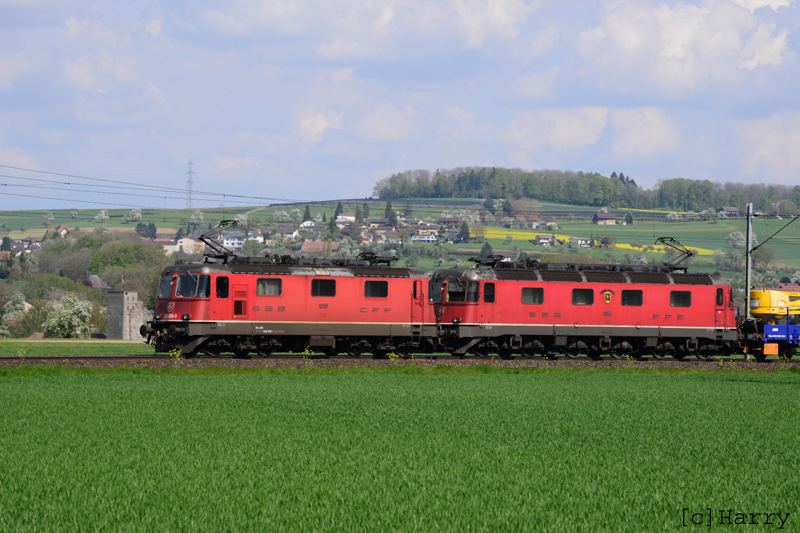 DUX_7940.jpg