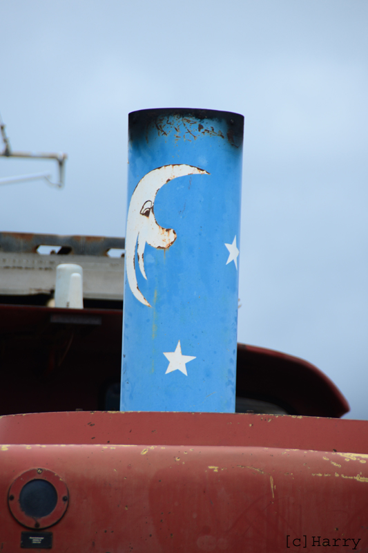 DVE_3764.jpg