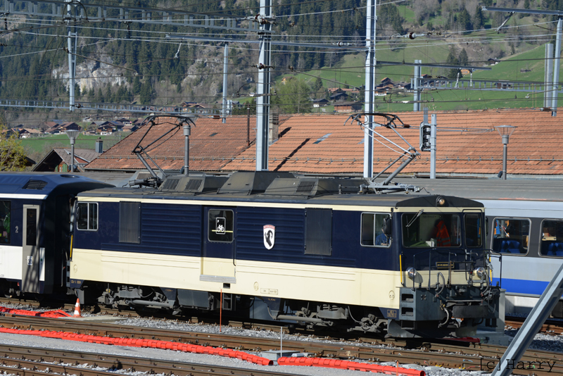 DVK_9436.jpg