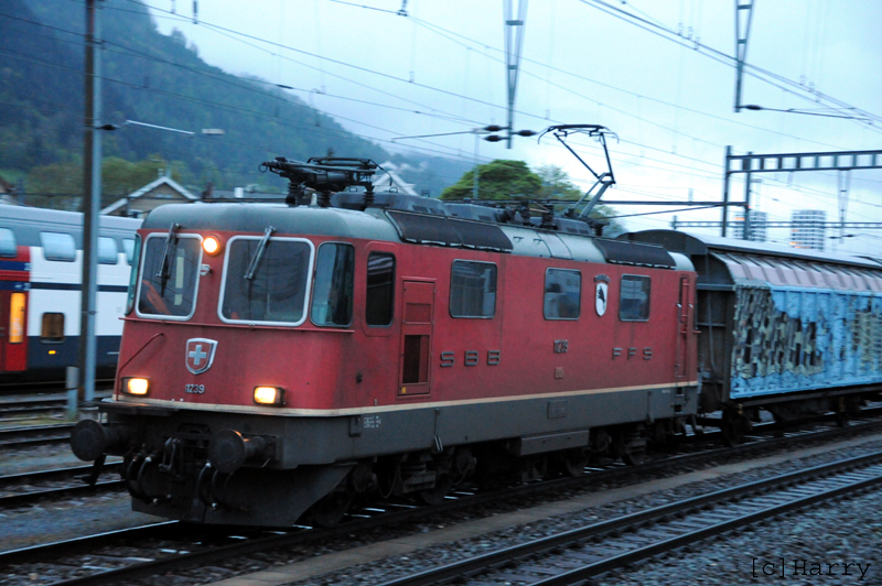 DVL_3943.jpg