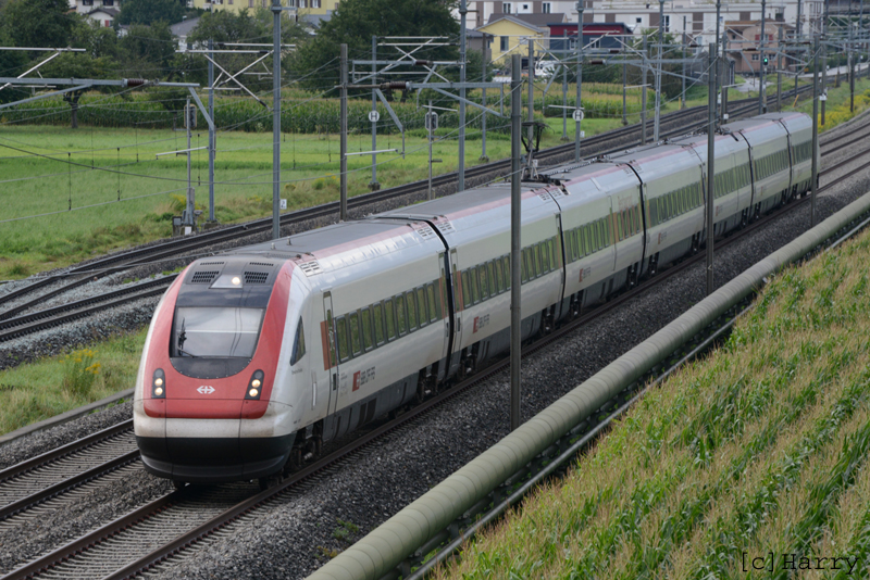 DVP_6245a.jpg