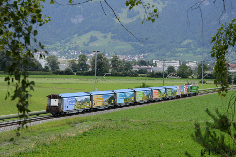 DVP_7499a.jpg