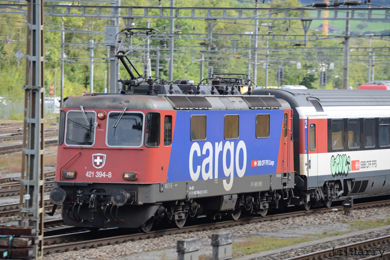Re 4/4 421 394-8
