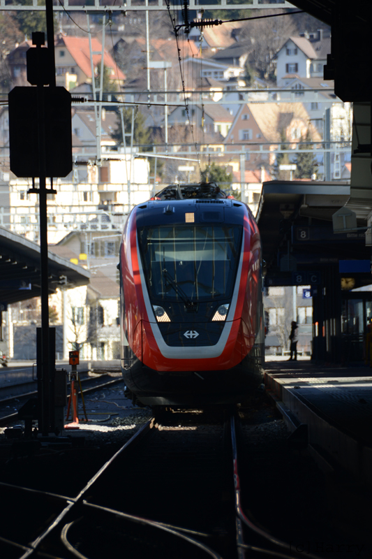 DVV_4163.jpg