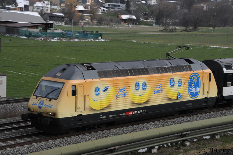 Re 460 029-2
