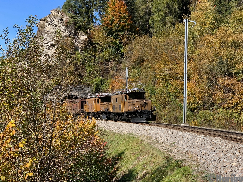 IMG_5393.jpg