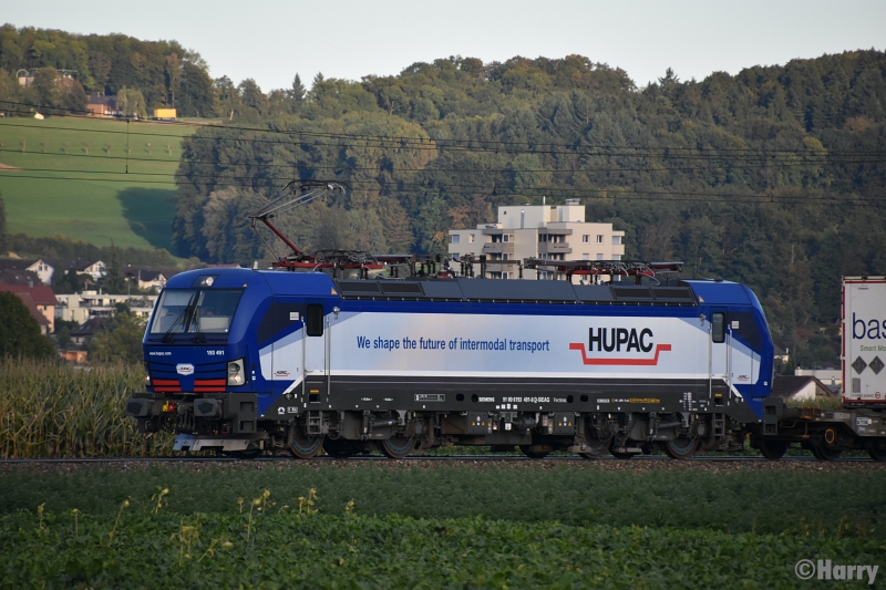 Siemens 91 80 6193 491-8
