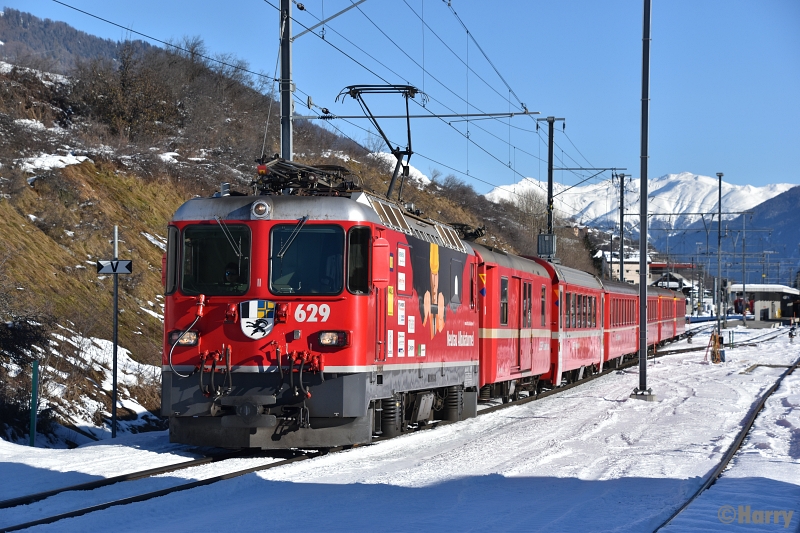 DWS_8828.jpg
