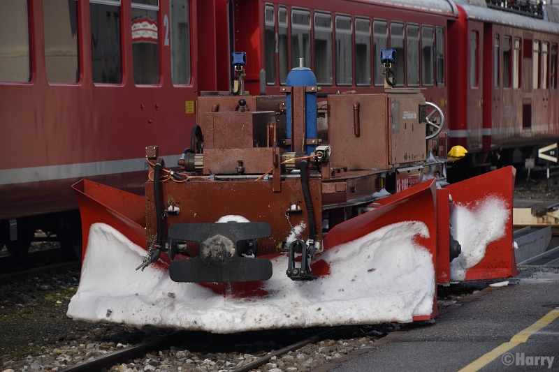 DWT_2251.jpg