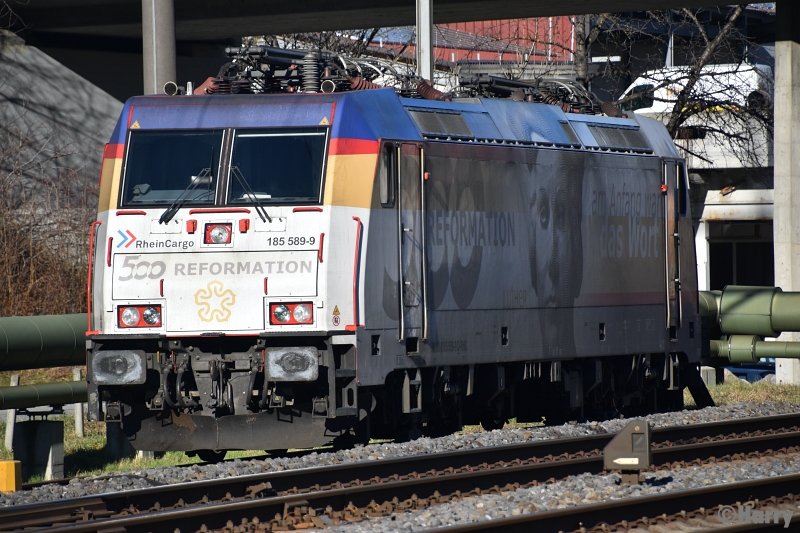 DWT_6971.jpg