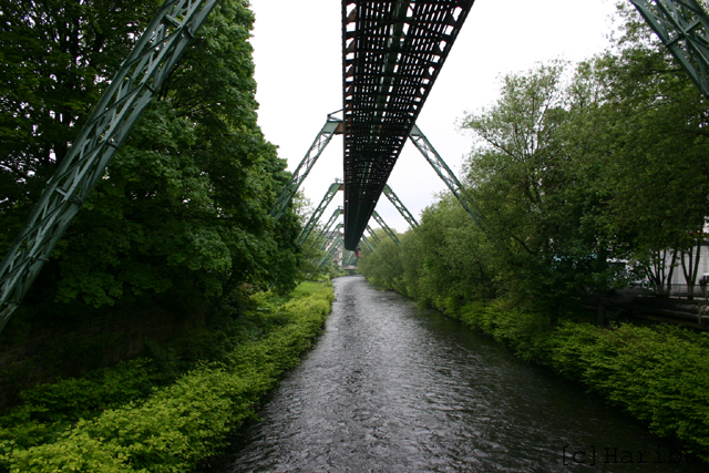 2005-05-15_003.jpg