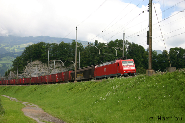 2005-08-01_005.jpg