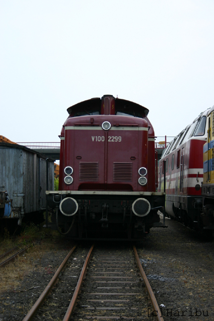 2006-06-04_036.jpg