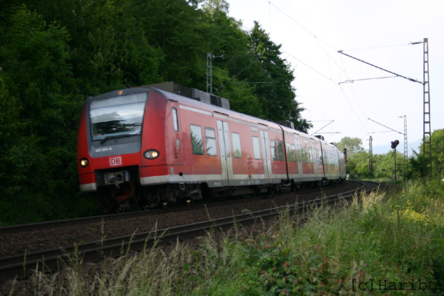 2006-06-04_042.jpg
