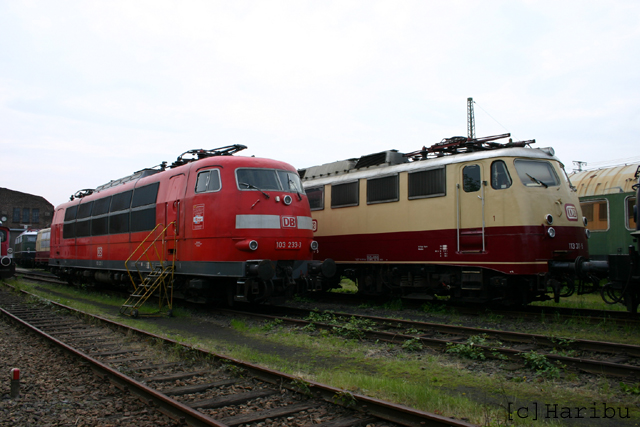 2006-06-04_128.jpg
