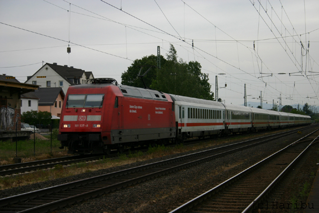 2006-06-04_159.jpg