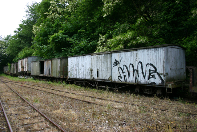 2006-06-04_165.jpg