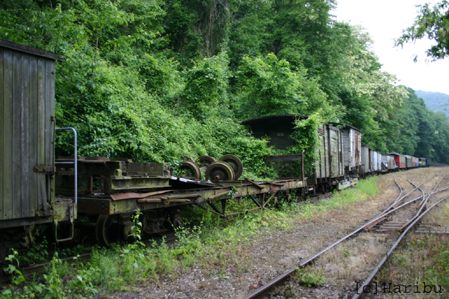 2006-06-04_166.jpg