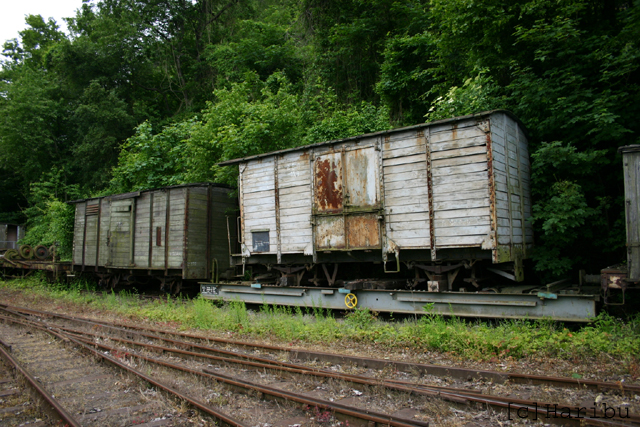 2006-06-04_167.jpg