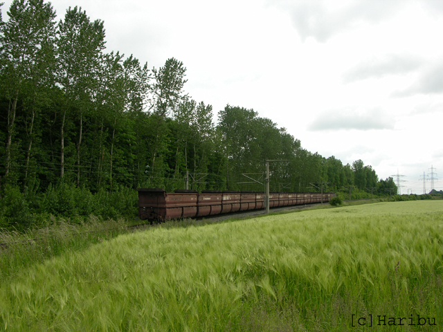 DSCN5729.jpg
