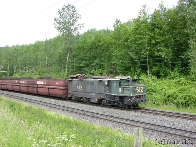 DSCN5730.jpg