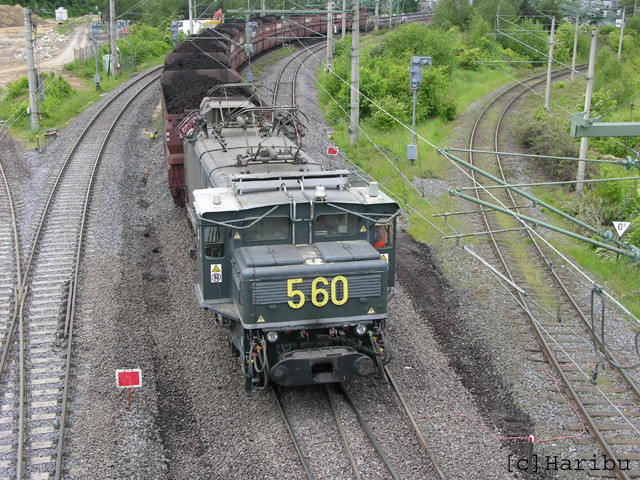 DSCN5738.jpg