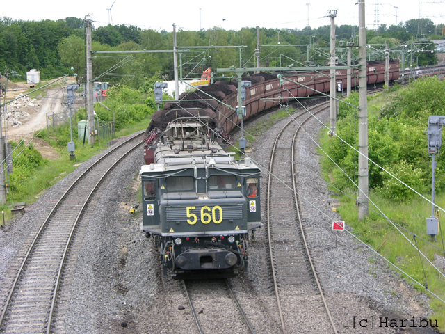 DSCN5739.jpg