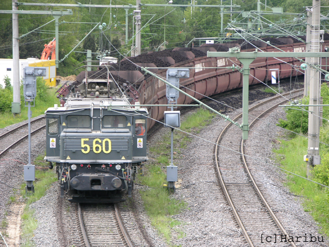 DSCN5741.jpg