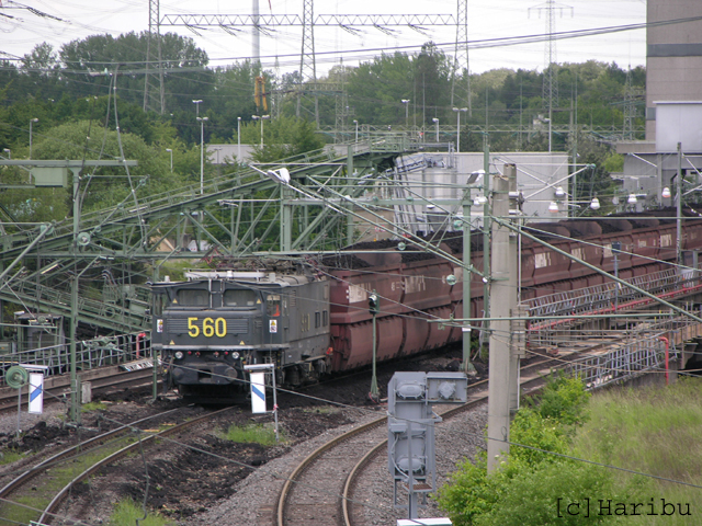 DSCN5742.jpg